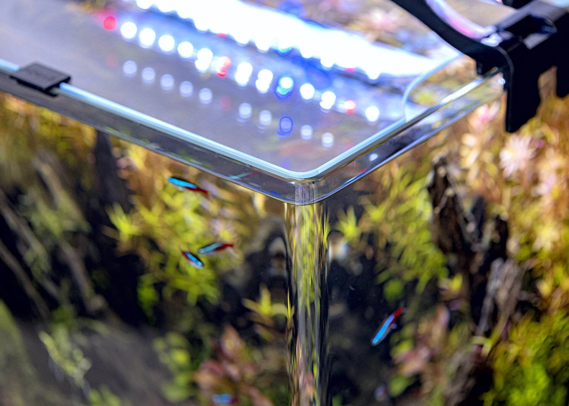 Aquael Optibent Aquarium Set - Image 4