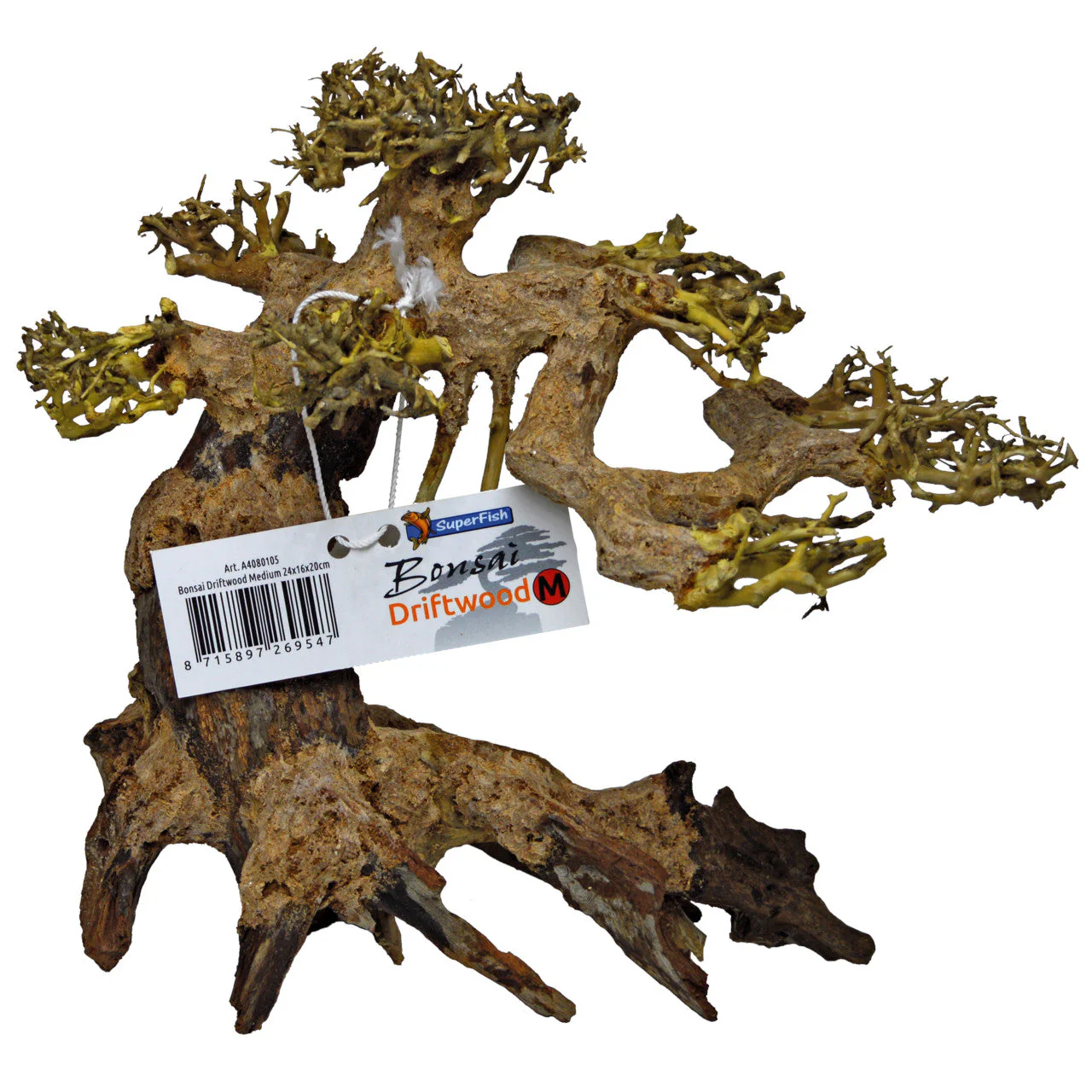 Bonsai Driftwood - Image 4