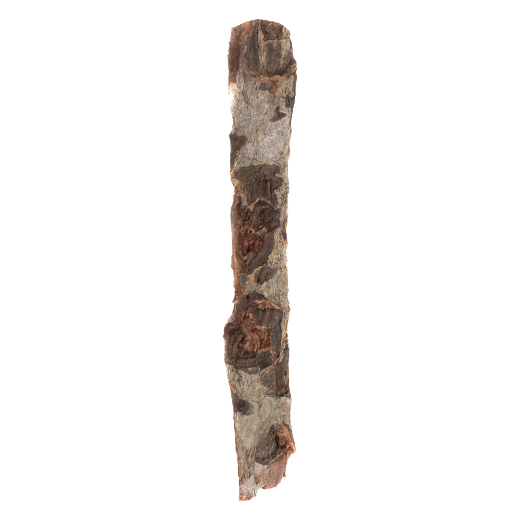 Dennerle Nano Catappa Bark - Image 2