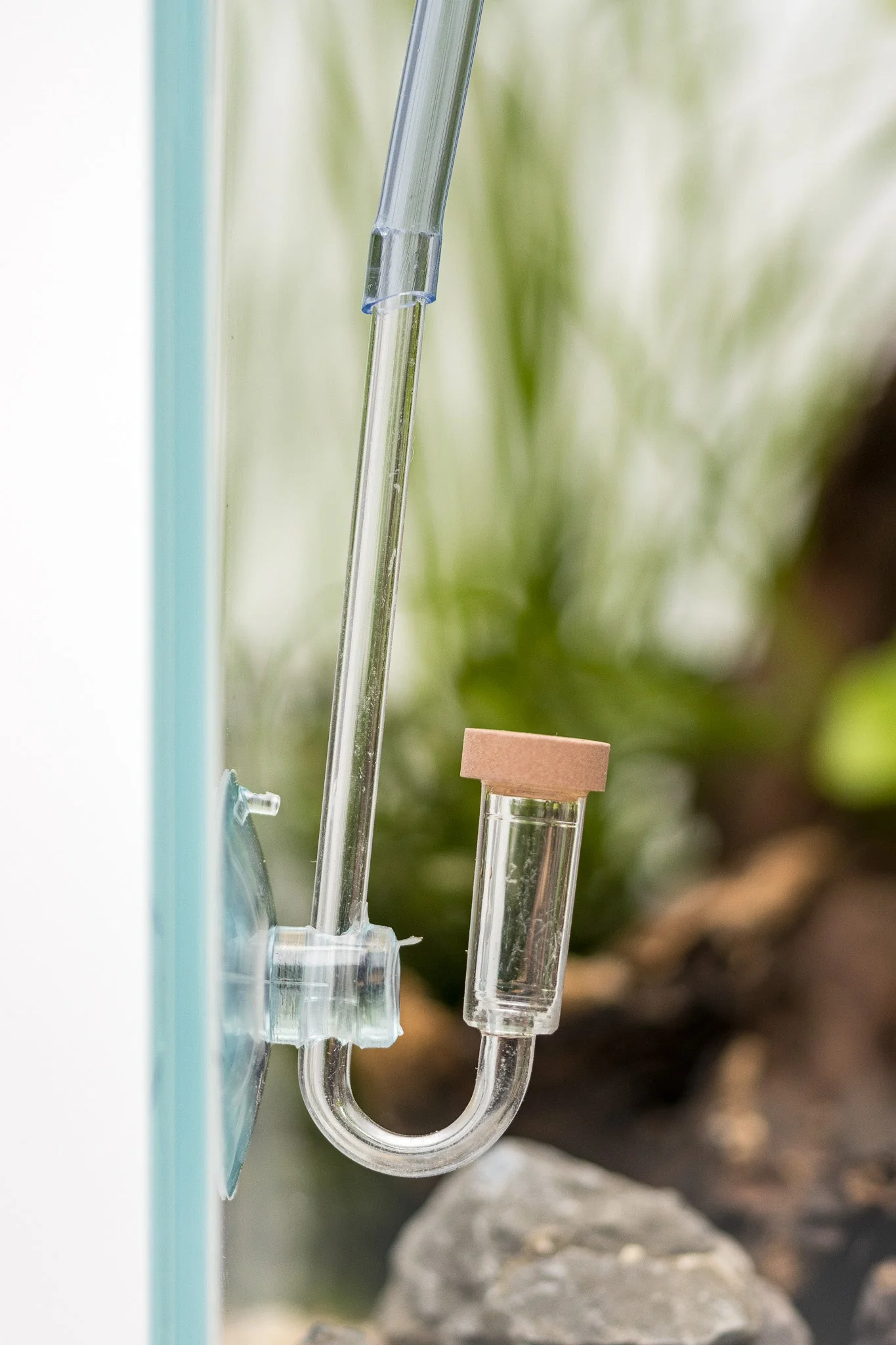 Dennerle Plants CO2 Starter Kit - Image 5