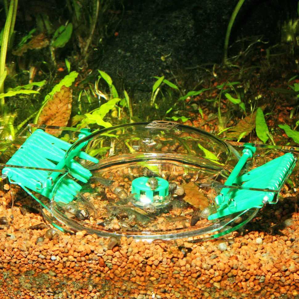 JBL Limcollect Snail Trap - Image 5