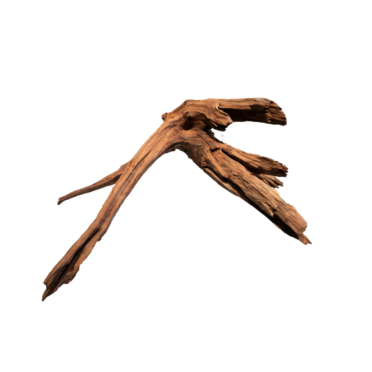 Mangrove Aged Wood 20-60cm - Image 4