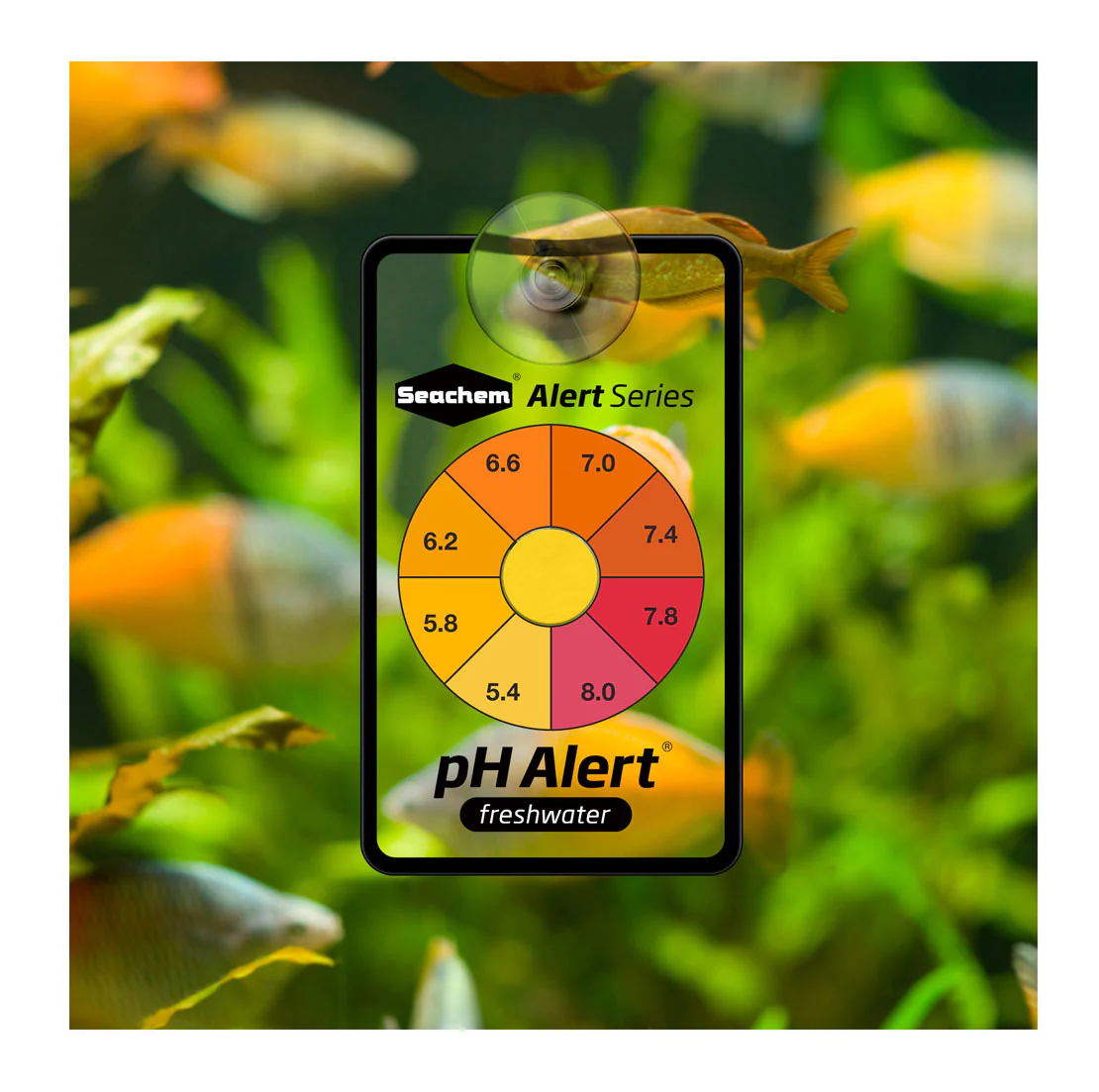 Seachem Alert Combo pH & Ammonia - Image 3