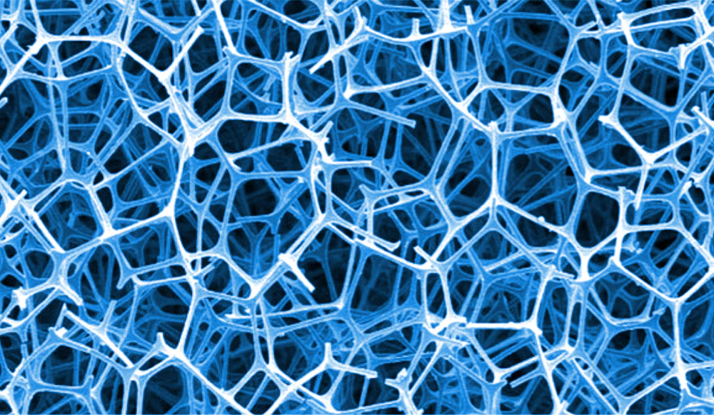 Seachem Algae Pads - Image 4