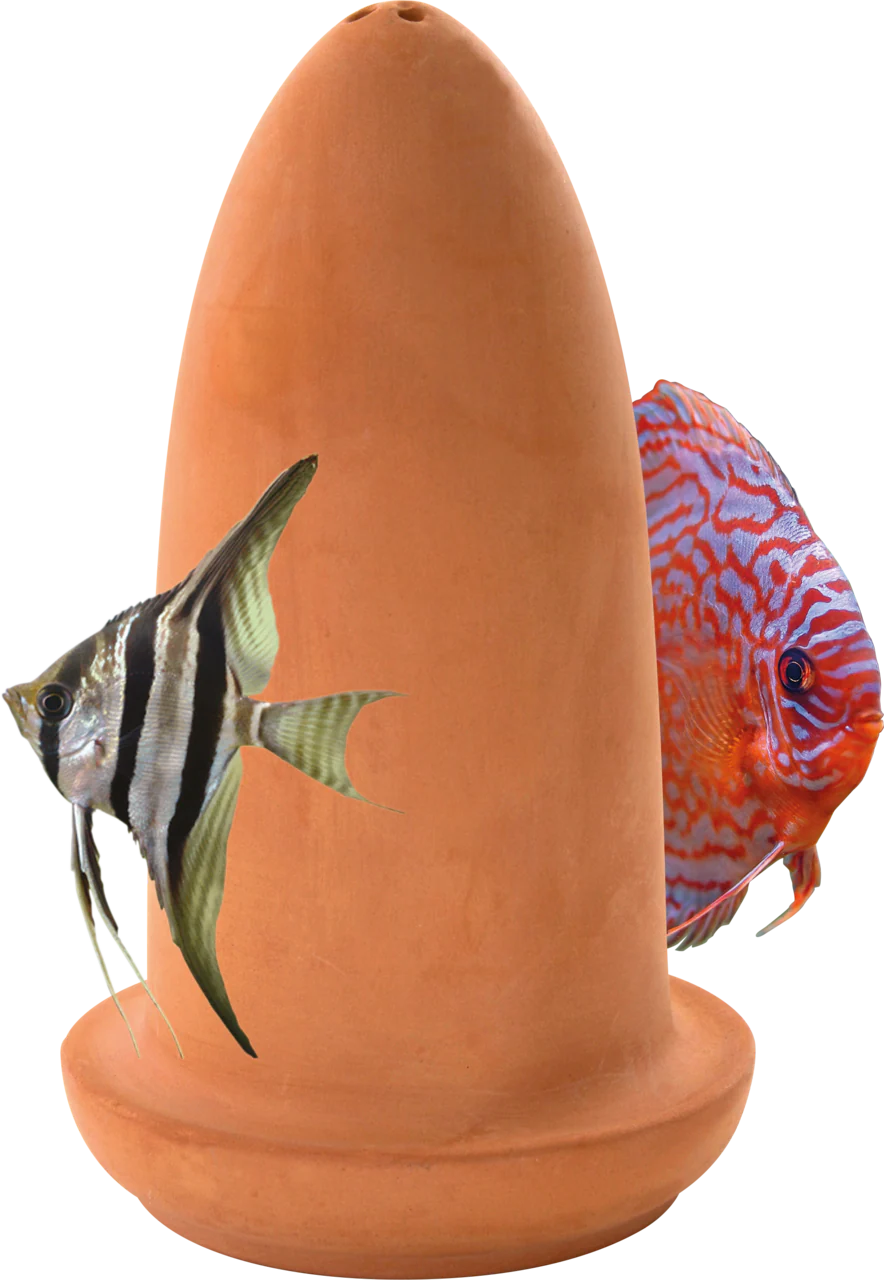 Superfish Spawning Cone - Image 2