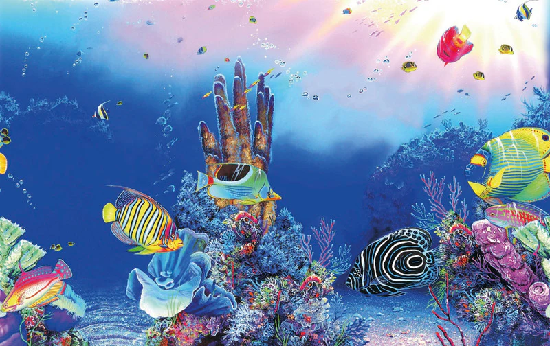 Superfish Deco Poster F - Image 3