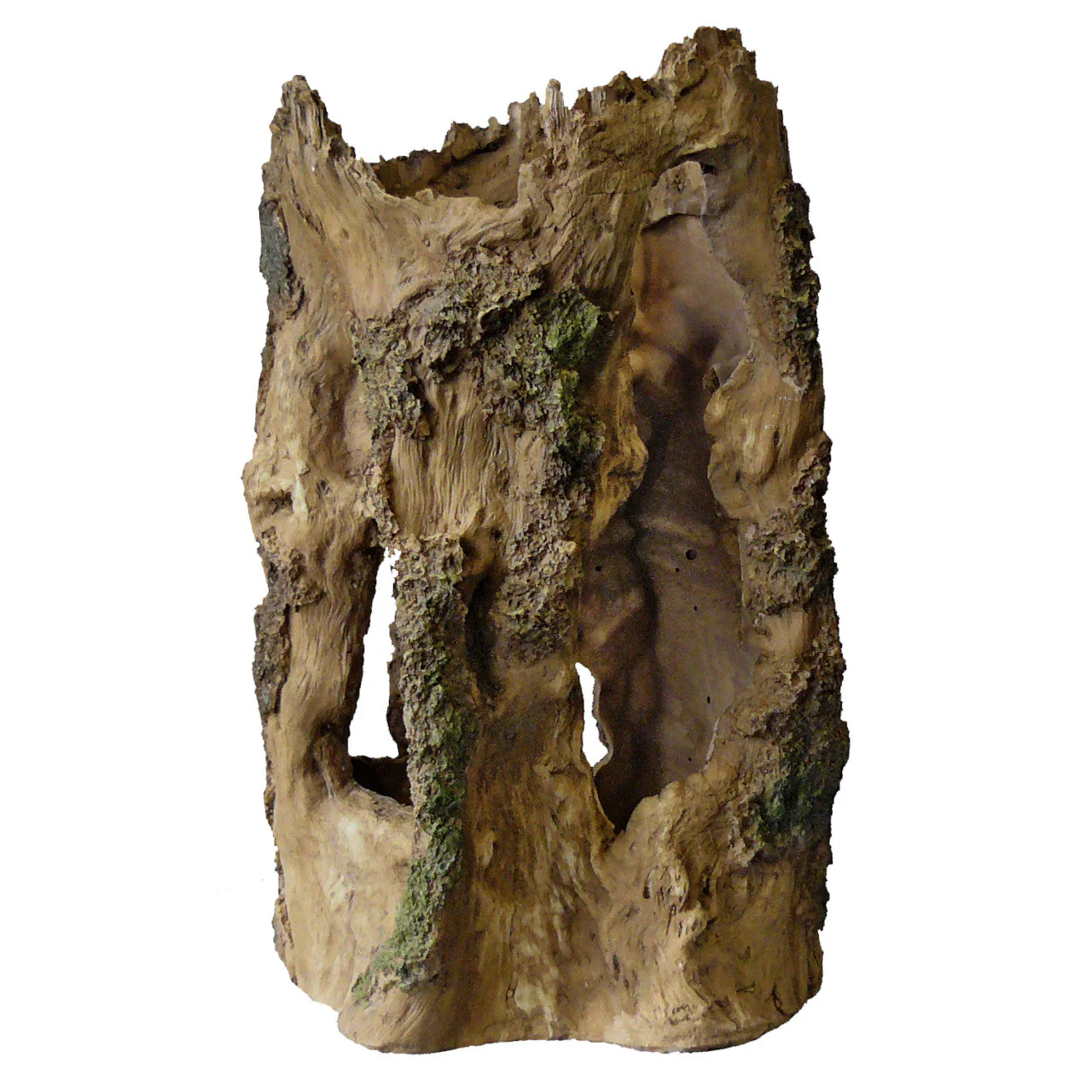 Superfish Deco Tree Home - Image 3
