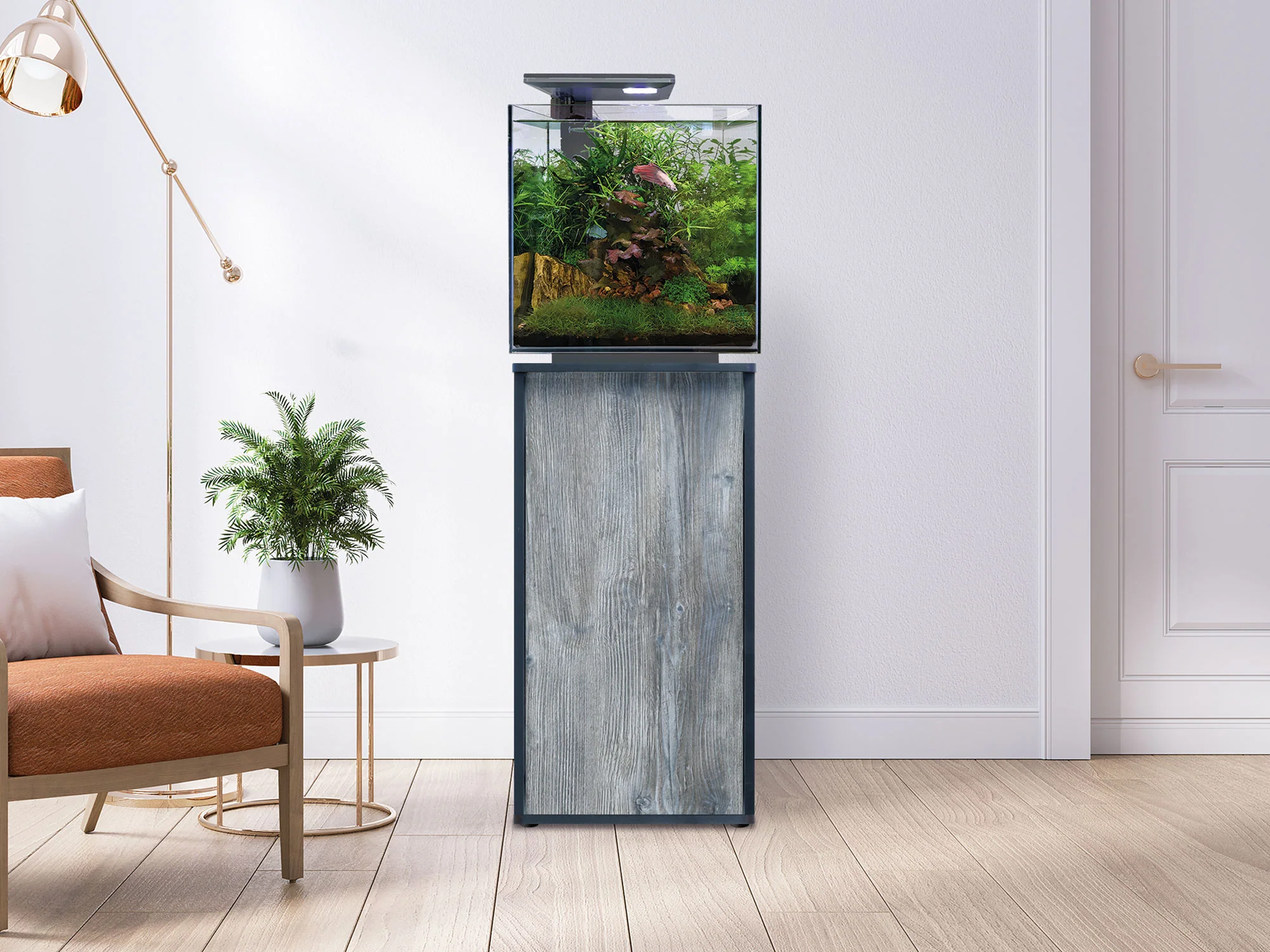 Superfish Design Cabinet BLACK/PASA - Image 3