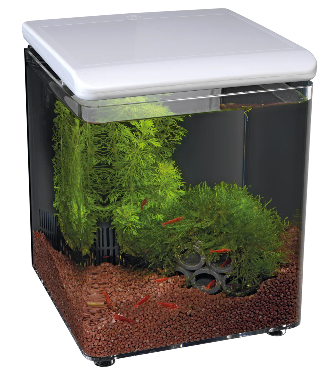 Superfish Home 8 Aquarium - Image 3
