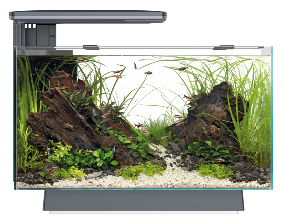 Superfish Quadro 40 Multi-Colour LED - Image 7