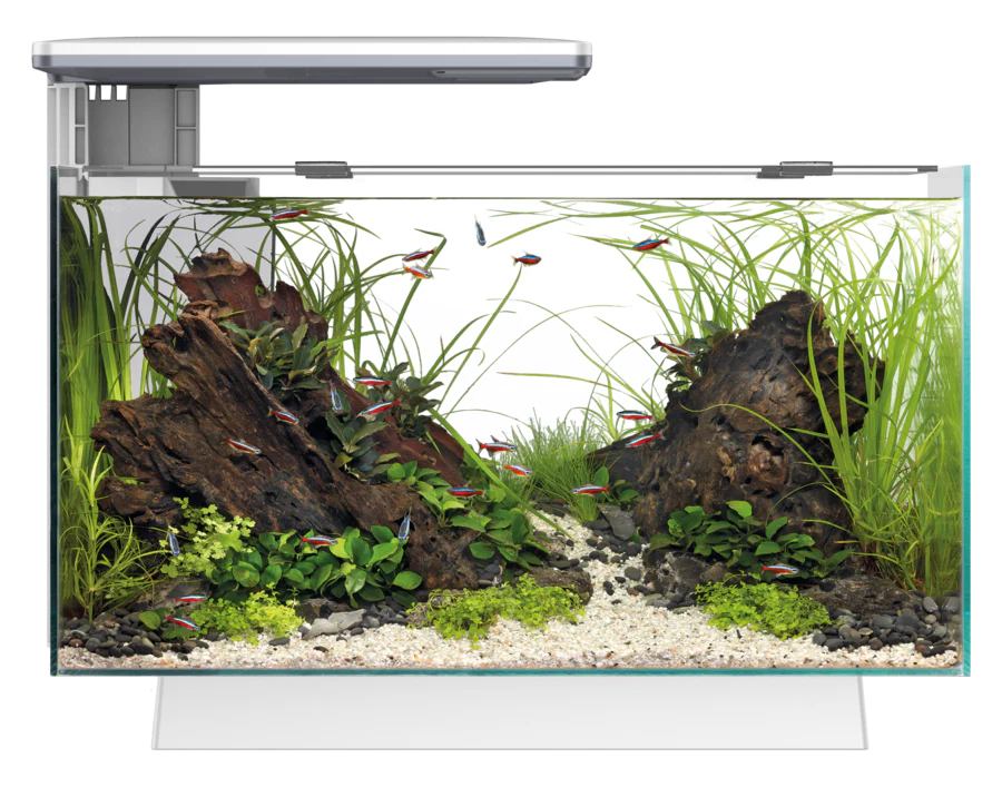 Superfish Quadro 40 Pro (White/Blue LED) - Image 5