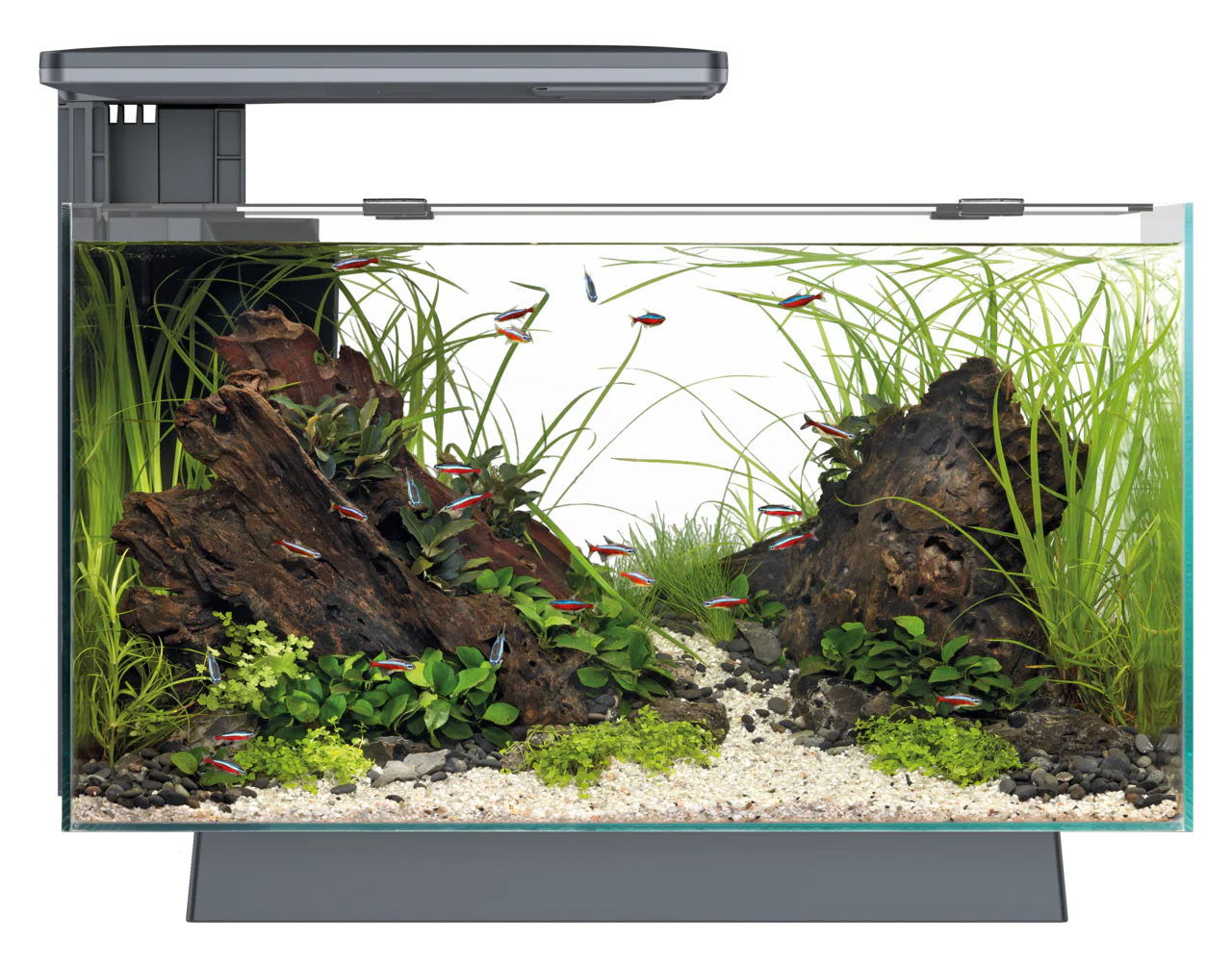 Superfish Quadro 40 Pro (White/Blue LED) - Image 8