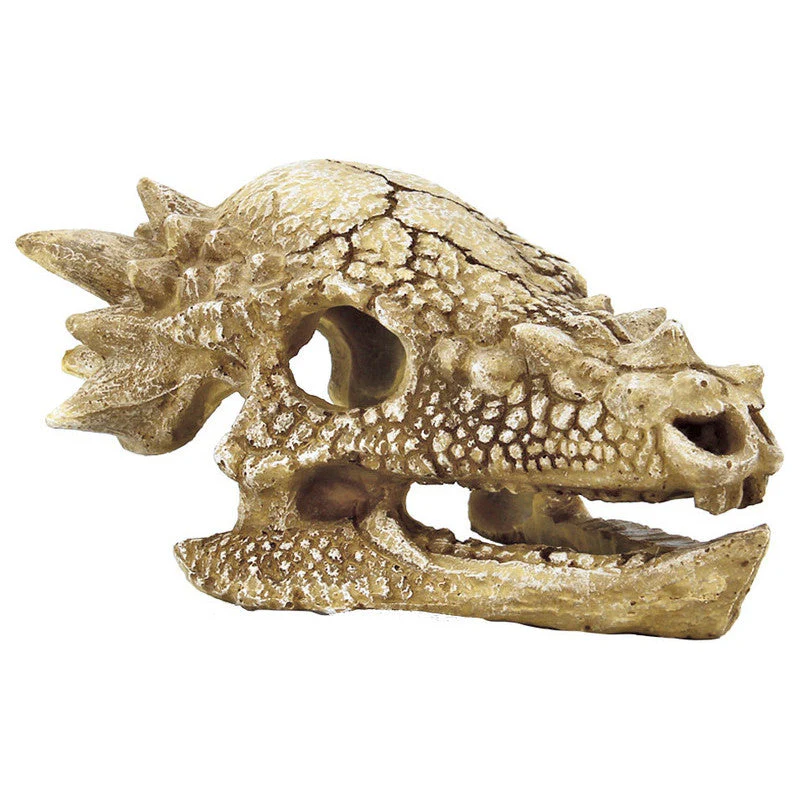 Superfish Skull T-Rex - Image 3