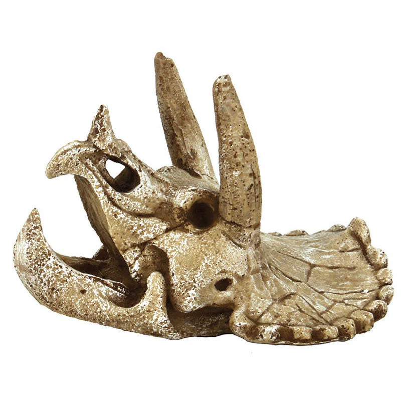 Superfish Skull Triceratops - Image 3