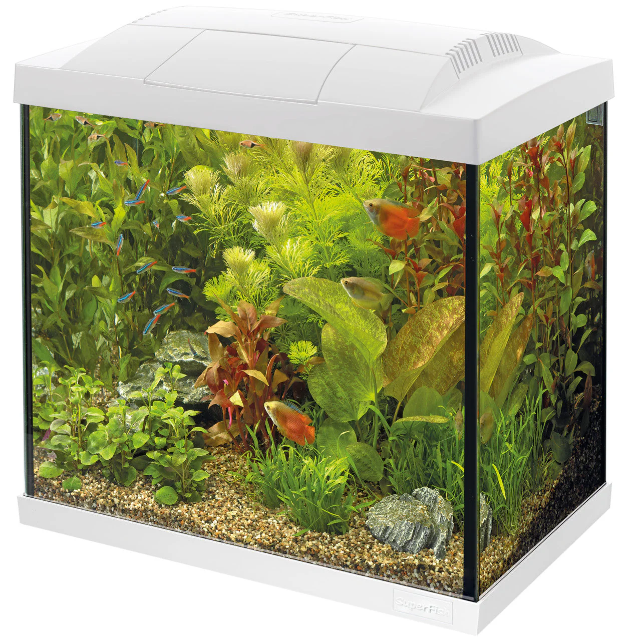 Superfish Start 30 Aquarium Kit - Image 3