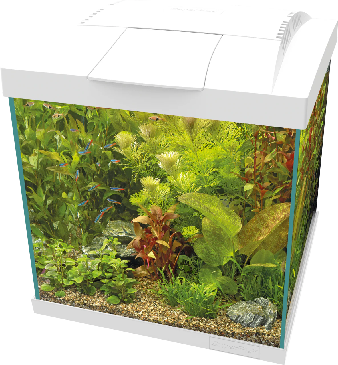 Superfish Start 30 Qube Kit - Image 4