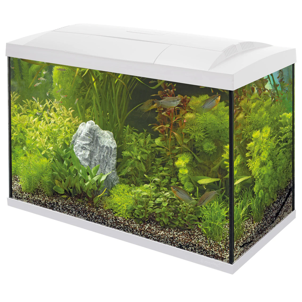 Superfish Start 70 Aquarium Kit - Image 3