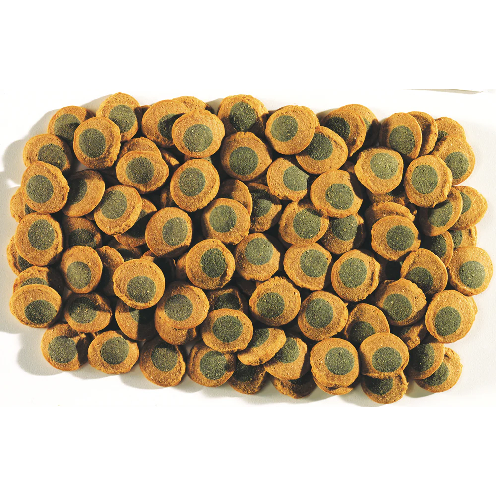 Tetra Pleco Spirulina Wafers - Image 3