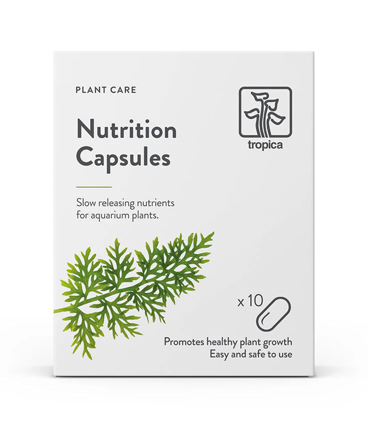 Tropica Nutrition Capsules - Image 4